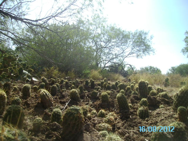 a reubicarlas