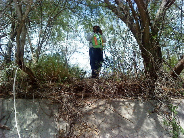 inspeccionando